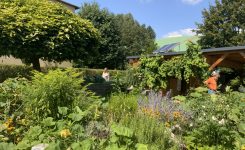 European Award for Ecological Gardening 2021 – Nominierung Therapie­garten Achterbahn