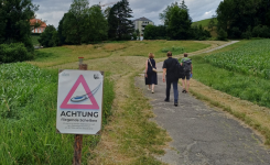PLANUM Sommer Event
